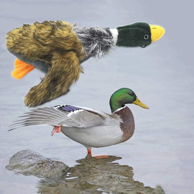 JKW Mallard Duck Dog Toy (3 Pack)