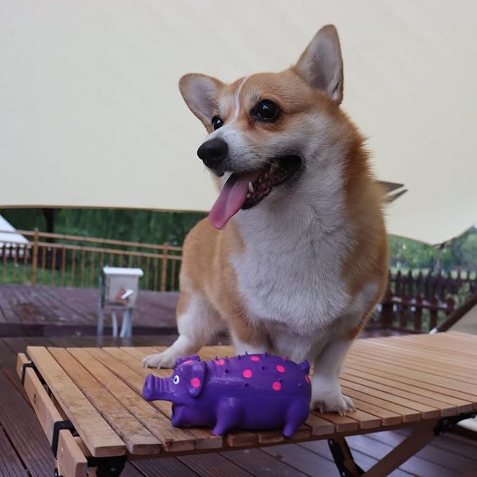 Pig Squeaky Dog Toy, 2 PCS Interactive Rubber Dog Chew Toy - Durable Latex Spot Grunting Pig Toys That Oink for Small Medium Large Dogs (Blue, Purple)