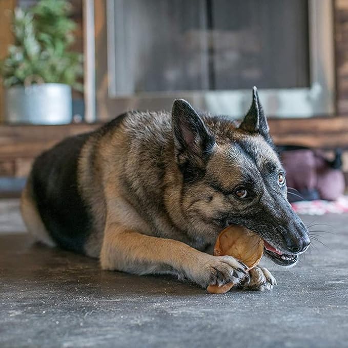 Best Pet Supplies GigaBite Roasted Pig Ears for Dogs - Natural Dog Chews, Roasted Pigs Ears, Half-Cut, Safe for Puppies and Aggressive Chewers, Cleans Teeth and Gums - Pack of 50