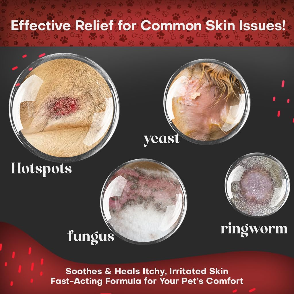 2% Chlorhexidine Wipes for Dogs 3X Larger | Yeast Infection Ringworm Fungus Hot Spot Itch Relief | Medicated Antibacterial Antifungal Extra Gentle Soothing Topical Wipes for Dog Cat | 50 Wipes