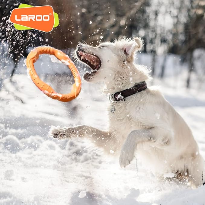 LaRoo Dog Flying Ring Toys, Floating Flying Dog Disc Toys, Summer Pet Training Outdoor Durable Chew Toys for Medium and Large Dogs (Medium Orange/22cm)