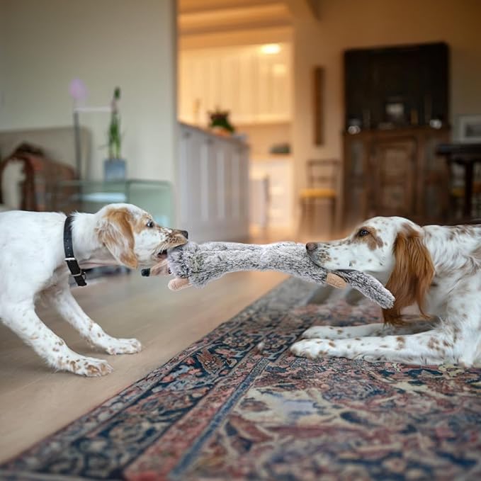 SHARLOVY Dog Squeaky Toys No Stuffing 2 Pack, Plush Crinkle Dog Toys for Large Breed, Durable Doggie Chew Cute Animals Puppy Toy for Teething