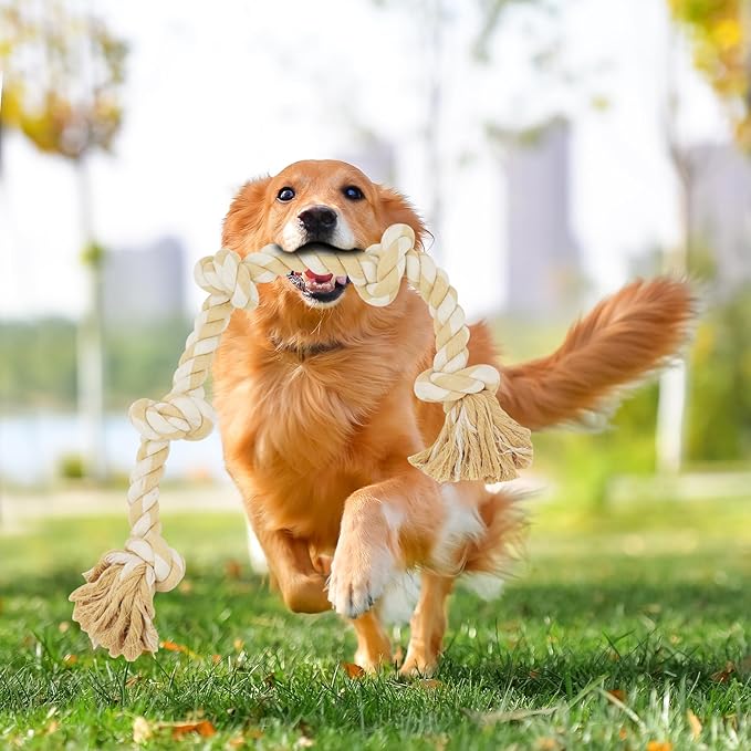 Bmag Dog Toys for Aggressive Chewers, Tough Rope Chew Toys for Medium Large Dogs, 3 Feet Heavy Duty Tough Dog Tug of War Toy with 5 Knots for Teeth Cleaning