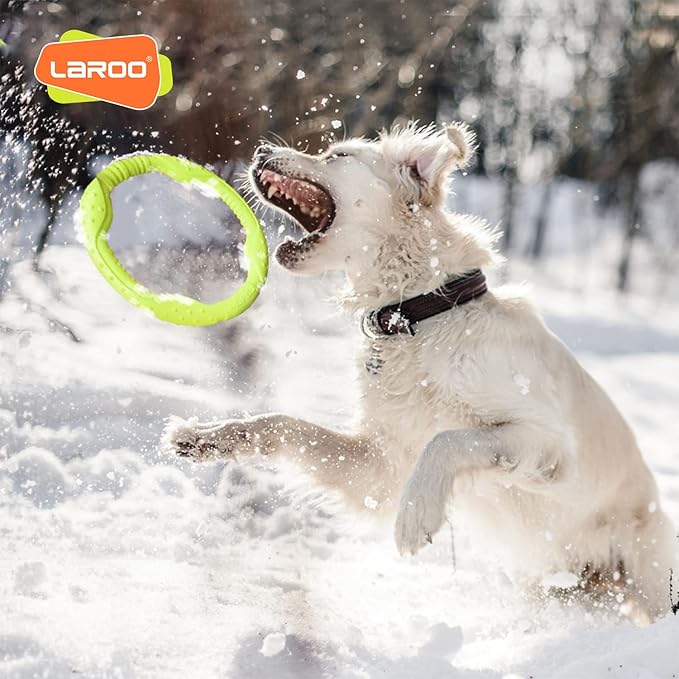 LaRoo Dog Flying Ring Toys, Floating Flying Dog Disc Toys, Summer Pet Training Outdoor Durable Chew Toys for Medium and Large Dogs (Medium Green/22cm)