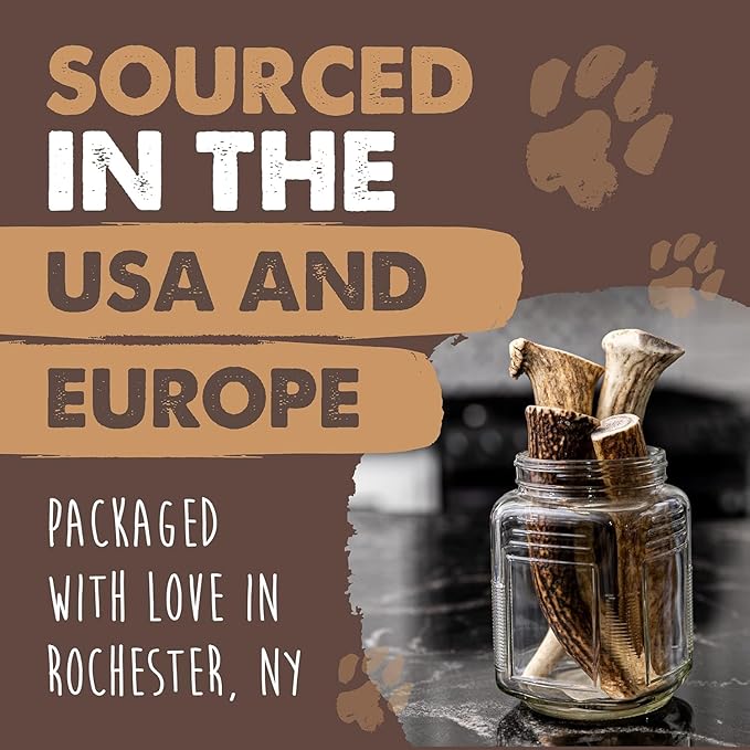 Mighty Paw Split Elk Antlers for Dogs (Sourced in The USA) | 1 Whole Monster 8"+ Long Lasting Bones for Aggressive Chewers - Naturally Shed Split Deer Antler for Dogs - Low Odor Chews (Pack of 1)