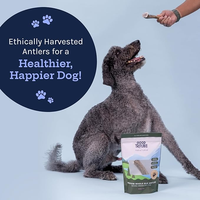 Good Trouble Premium Elk Antlers for Medium Dogs – 2 Pack Whole - All-Natural, Shed Antler Chews for Dental Health & Calming - Durable Dog Bones - Cruelty-Free, North American Sourced