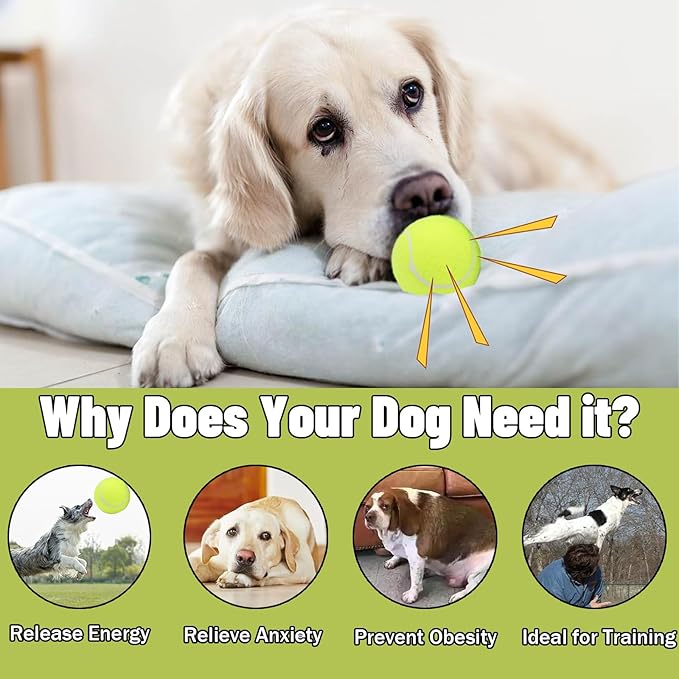 Magicorange Squeaky Tennis Ball Dog Toys 4 inch Oversize Giant Tennis Ball for Fetch Exercise, Natural Rubber Squeaky Dog Balls Training Safe (Multicolor, 2 Pack)