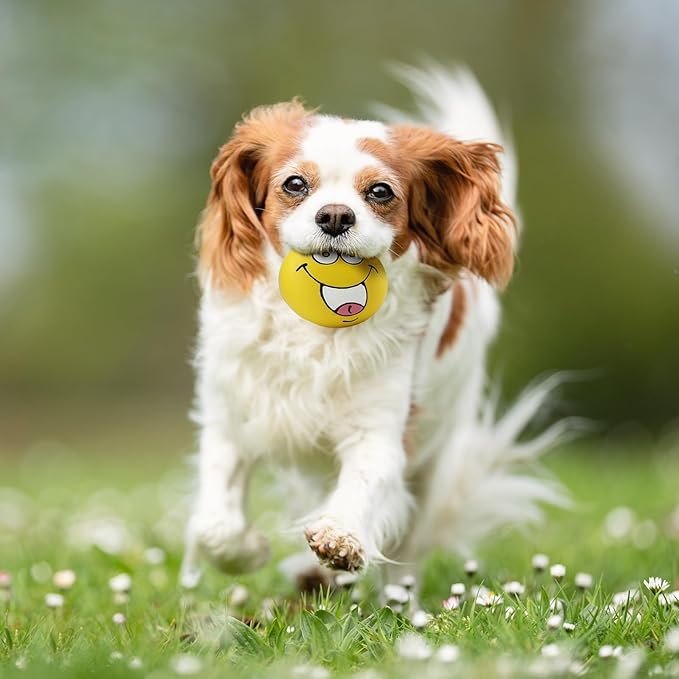 4 Pack 2.8" Smiley Face Squeaky Dog Toys Soft Dog Balls Latex Rubber Squeak Dog Toys for Small Medium Puppy Pet Dogs (Emoji)