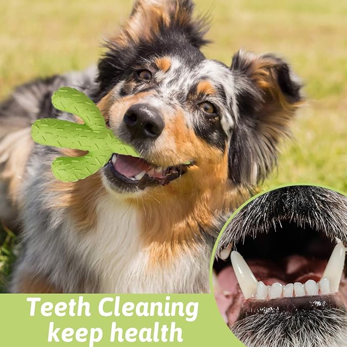 MewaJump Dog Chew Toys for Aggressive Chewers, Durable Rubber Cactus Tough Toys for Training and Cleaning Teeth, Interactive Dog Toys for Small/Medium Dog