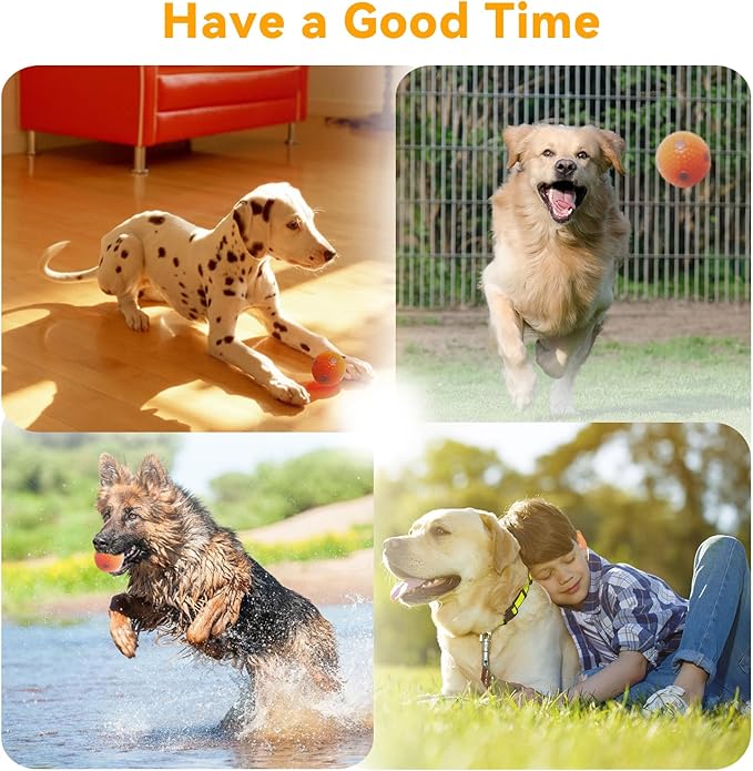 PTLSY Automatic Dog Ball Launcher - Interactive Puppy Thrower Machine for Small & Medium Dogs, 3 Balls (Inclusive of 2 inch) & White Launcher with 6pc Balls