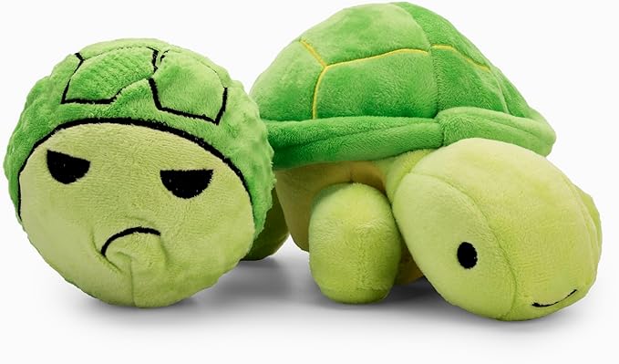 Flourish Pets 3 in 1 Multi-Layer Chew Toy for Active Dogs | Non-Toxic BPA Free Double Stitched Soft Fabric Exterior Dog Toys | Long-Lasting Dog Plush Toys – Small Turtle 7.5"