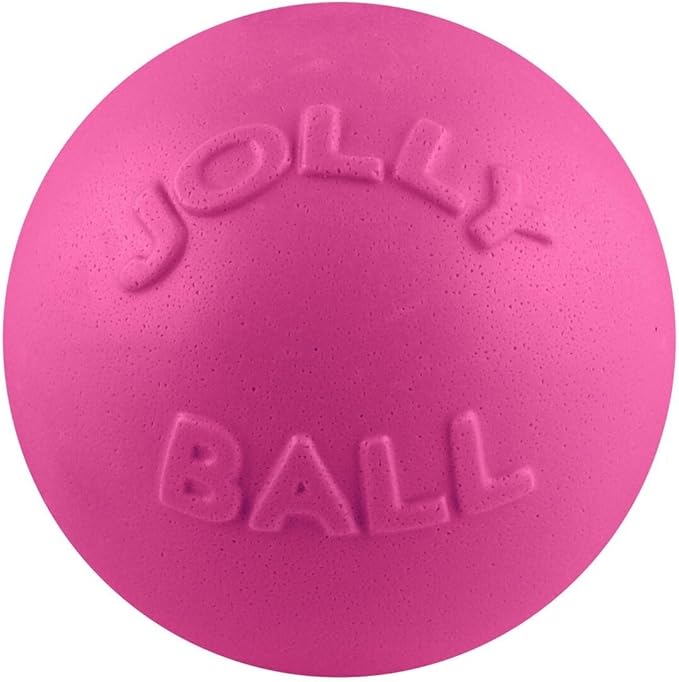 Jolly Pets Bounce-n-Play Dog Toy Ball, 6 Inches, Blueberry, All Breed Sizes