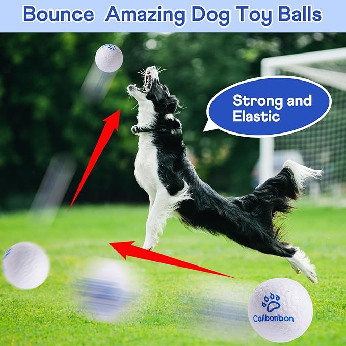 Durable Dog Balls - Tough Chew-Resistant TPU Fetch Toys for Aggressive Chewers, Puppies to Large Breeds - Floating Water & Dental Teeth Cleaning Balls (2.5 Inch,3-Pack, White)