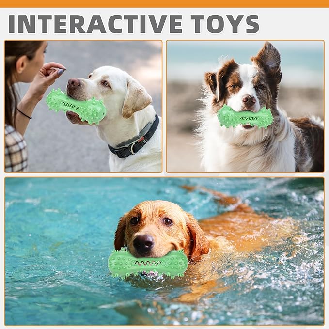 KOOLTAIL Floating Dog Toys for Swimming Pool,Summer Bumper Toy for Water,Indestructible Dog Toothbrush Chew Toy,Interactive Training Squeaky Toys for Aggressive Chewers Small Medium Large Dogs,Green