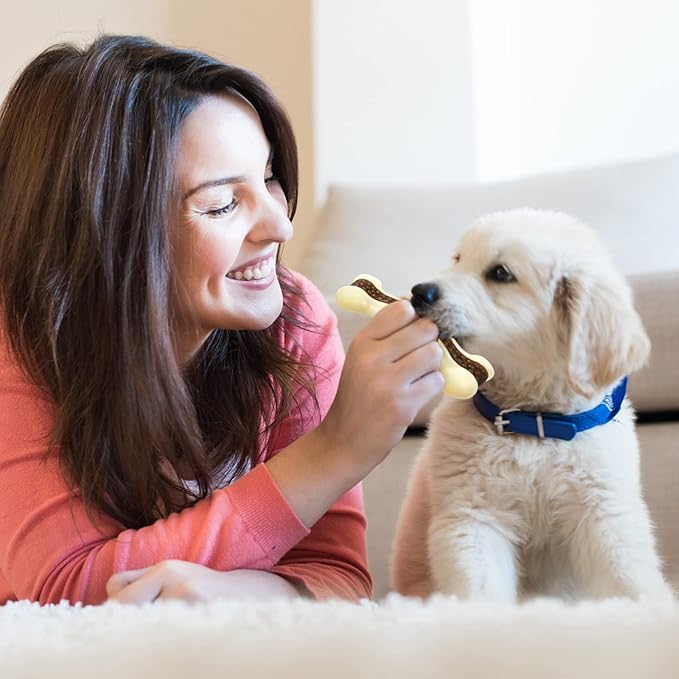 Sosation 3 Pack Chew Toys for Aggressive Chewers, Bone Toys Nylon Beef Flavor Dog Teething Toys for Large/Medium/Small Puppies Breeds(Small, Curved Bone)