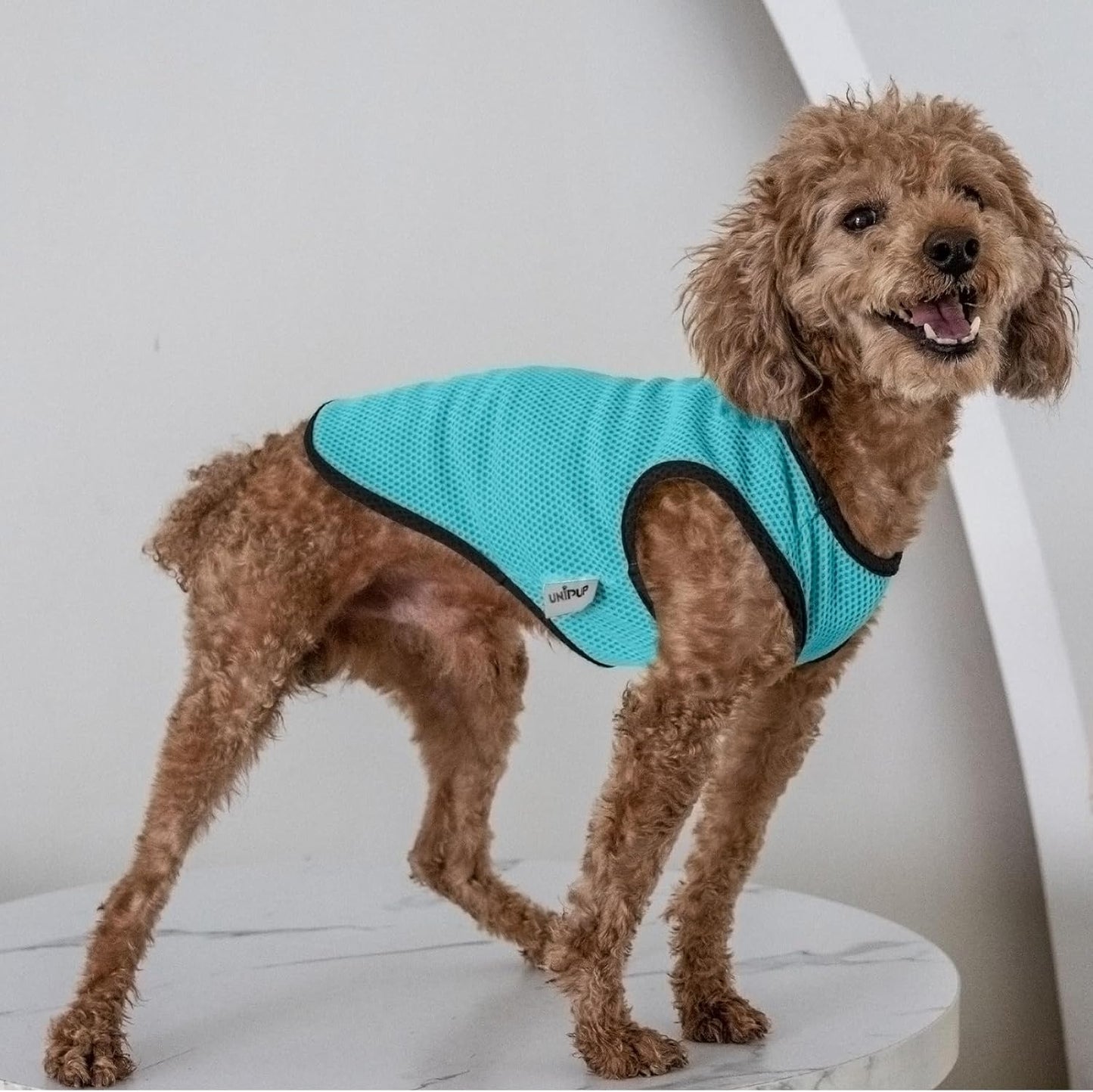 2 Pack Cooling Shirts for Dogs, Lightweight Mesh Breathable Dog Clothes for Medium Dogs Boy Girl,Sports Fan Pet T-Shirts for Dog&Cat Puppy Vest Pet Apparel - XL