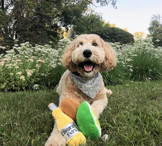 TONBO Cute Sports Plush Dog Toys (Happy Hour Combo)