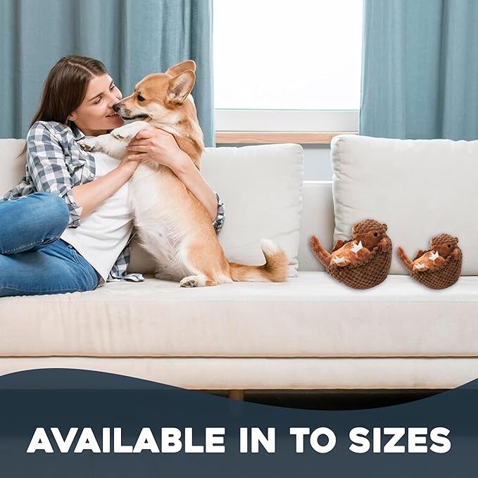 Flourish Pets 3 in 1 Multi-Layer Chew Toy for Active Dogs | Non-Toxic BPA Free Double Stitched Soft Fabric Exterior Dog Toys | Long-Lasting Dog Plush Toys – Large Armadillo 7"