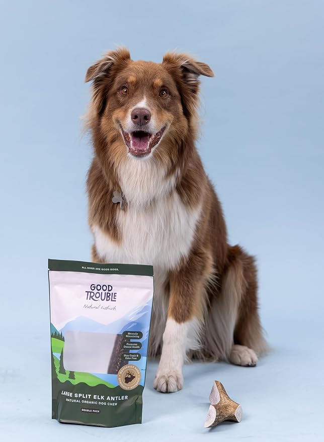 Good Trouble Premium Elk Antlers for Large Dogs – 2 Pack Split - All-Natural, Shed Antler Chews for Dental Health & Calming - Durable Dog Bones - Cruelty-Free, North American Sourced