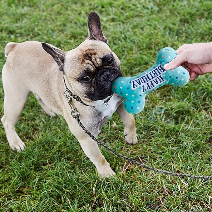 Prime Pets Dog Birthday Toys, Plush Dog Squeaky Toys, Stuffed Puppy Chew Toy for Small Medium Large Dogs, Bone Pet Toy