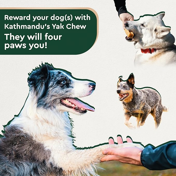 KATHMANDU'S - Authentic Himalayan Cheese Dog Chews - Large, 1-Count - for Improved Dental Hygiene & Protein-Rich Nutrition, No Preservatives