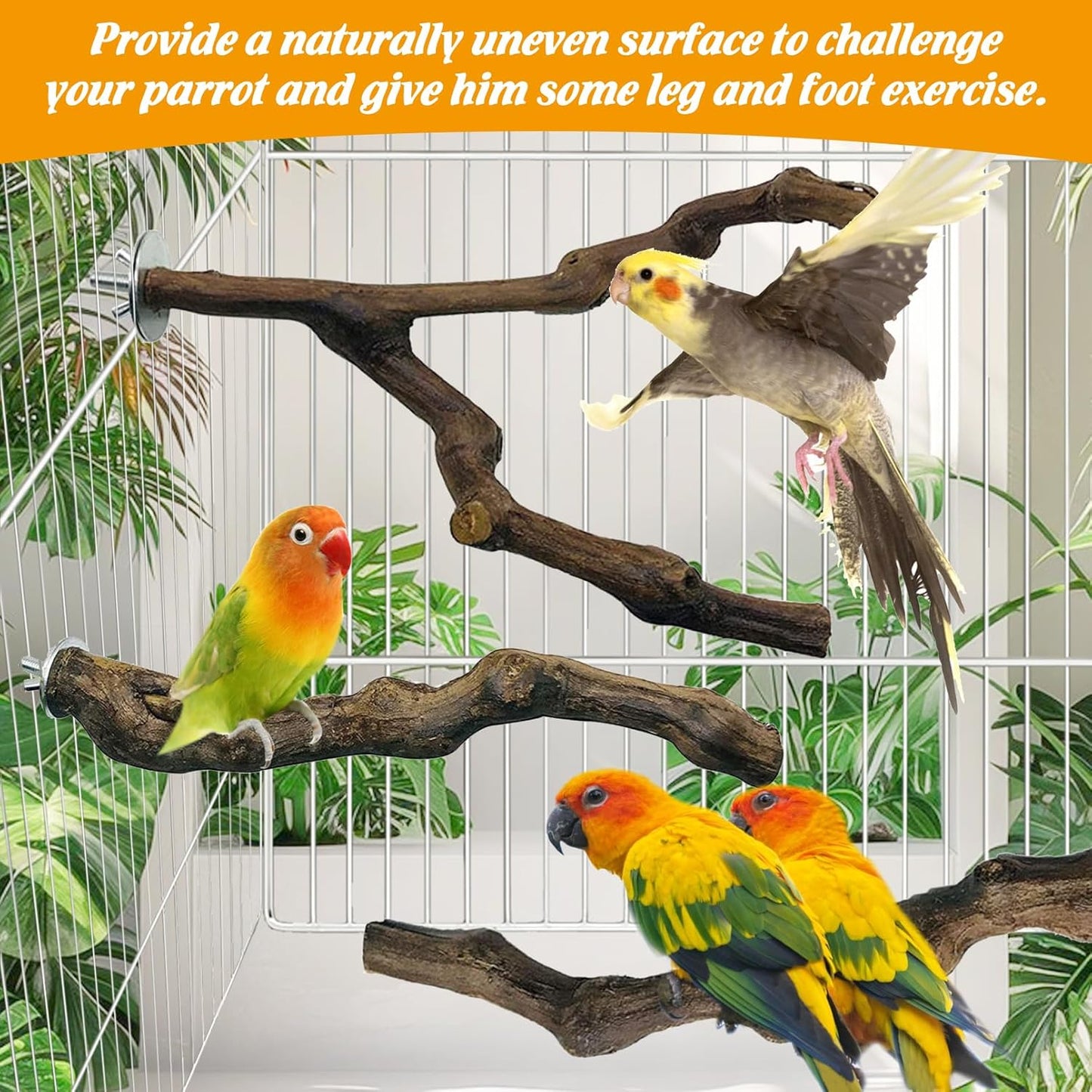 kathson 5pcs Natural Parrot Perch for Cage Wooden Bird Perches Grape Bird Stick Parakeet Climbing Standing Branches Toy Chewable Cage Accessories for Small Budgies Cockatiels Lovebirds Budgies