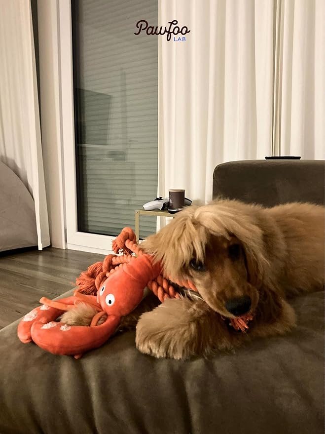 Tough Dog Toys, Large Squeaky Rope Tug of War Dog Toys for Puppy, Small, Medium, Large Dogs, Interactive Stuffed Plush Toys, Dog Birthday Gifts - Lobster