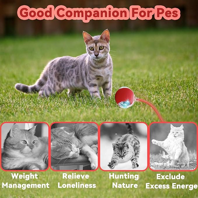 2 Pcs Interactive Cat Toys for Indoor Cats, Automatic Cat & Dog Toy with Elastic Mesh Tail, Electric Rolling Ball on Carpet, Chirping and Motion Activate Cat