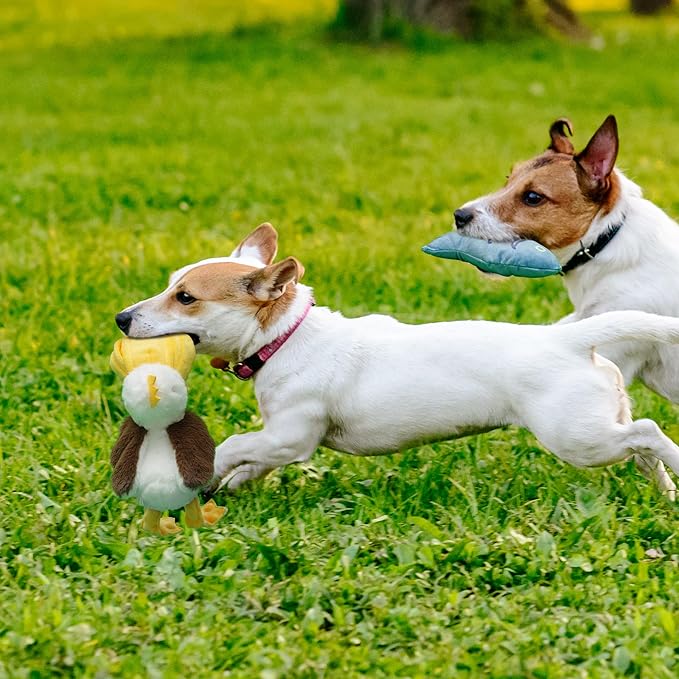 Nocciola Pelican & Fish Plush Toy for Dogs, 2 in 1 Design with Squeakers and Crinkle Paper, Mental Stimulation Puzzle Toy for Small Medium Dogs to Relieve Boredom & Anxiety