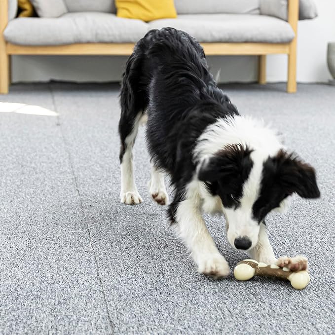 Dog Bones Chew Toys for Aggressive Chewers, 2 Pack Real Beef Flavor,Indestructible Dog Teething Chew Toys for Large/Medium/Small Puppies Breed,Tough Pet Toy with Nylon