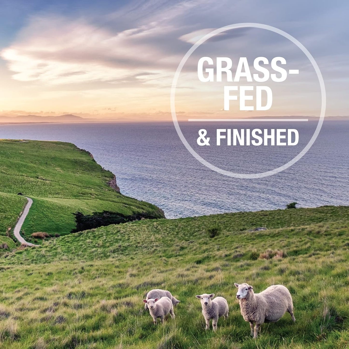 K9 Natural - Grain Free Freeze Dried Dog Food - Lamb & Salmon, 4lb