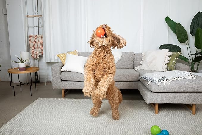 Jolly Pets Mini Jolly Soccer Ball; Floating-Bouncing Dog Toy; 3" Orange