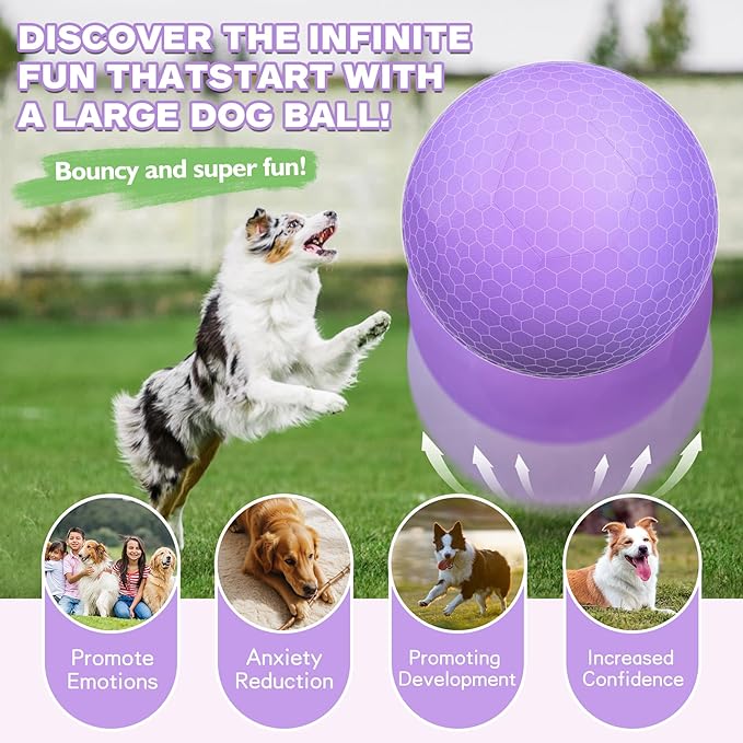 25" Herding Ball for Dogs and Horses, Durable Waterproof Dog Toy, Dual-Layer Large Interactive Pet Play Ball for Australian Shepherds, Cattle Dogs, Collies, and All Herding Breeds (Purple)