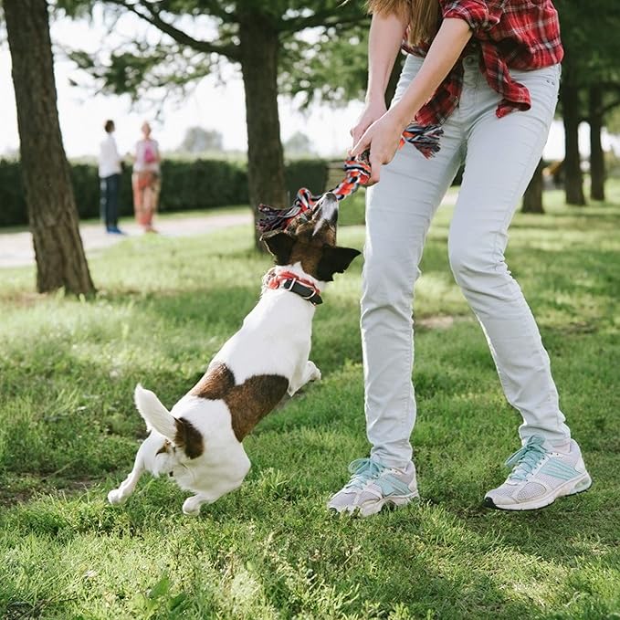 Dog Rope Toy 4 Pack - Puppy Teething Toys for Small Medium Breed - Indestructible Dog Chew Toys for Aggressive Chewers - Cotton Tug of War Dog Toys for Boredom, Teeth Clean