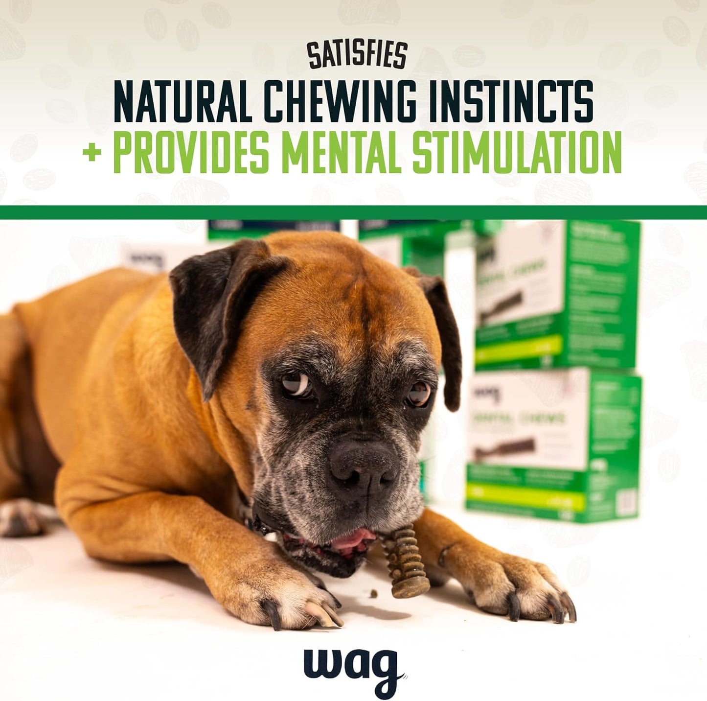 Amazon Brand - Wag Dental Chews - Green Dental Brush for Dogs, Large, Unflavored, 24 Count (Pack of 1)