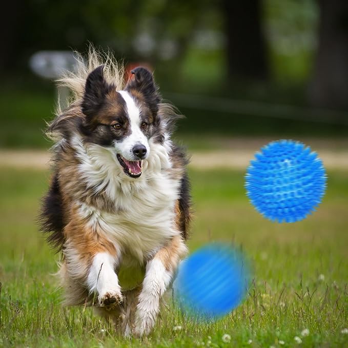 3.5” Squeaky Dog Toy Balls (6 Colors) Dog Toys Spikey Dogs Ball for Aggressive Chewers Heavy Duty Teething Large Medium Durable Dogs Balls