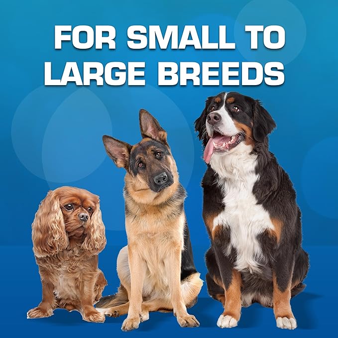 Nerf Dog 16-Piece Dog Toy Gift Set, Includes 16 2.5in Squeak Tennis Balls and a 10.25in Bucket, Nerf Tough Material, Green