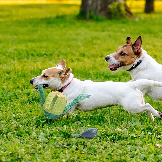 Nocciola 2 in 1 Frog Prince Plush Dog Toy, Rip and Reveal Interactive Toys with Hidden Tadpole Inside Play Tug-of-War Game for Dogs and Puppies