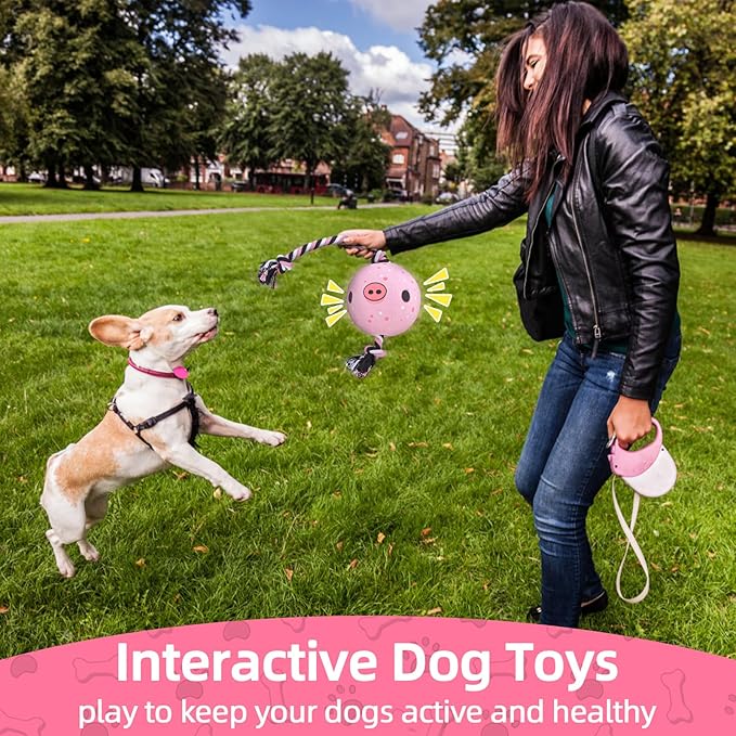 QDAN Dog Rope Dogs Toy: Dog Soccer Ball with Strap, Balls on Rope Plush Outdoor Birthday Toys for Small to Medium(for Medium Dogs, Pig)