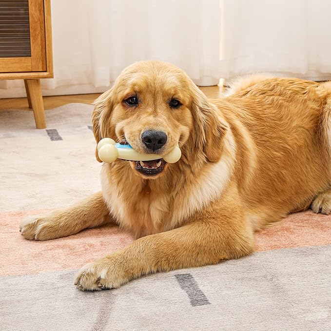 Dog Bones,Pack Beef Flavor Tough Dog Toys Bone for Large/Medium/Small Dogs,Nylon Made Durable Dog Bones for Teeth Cleaning and Training (2 Pcs, Snack-Filled Bone)