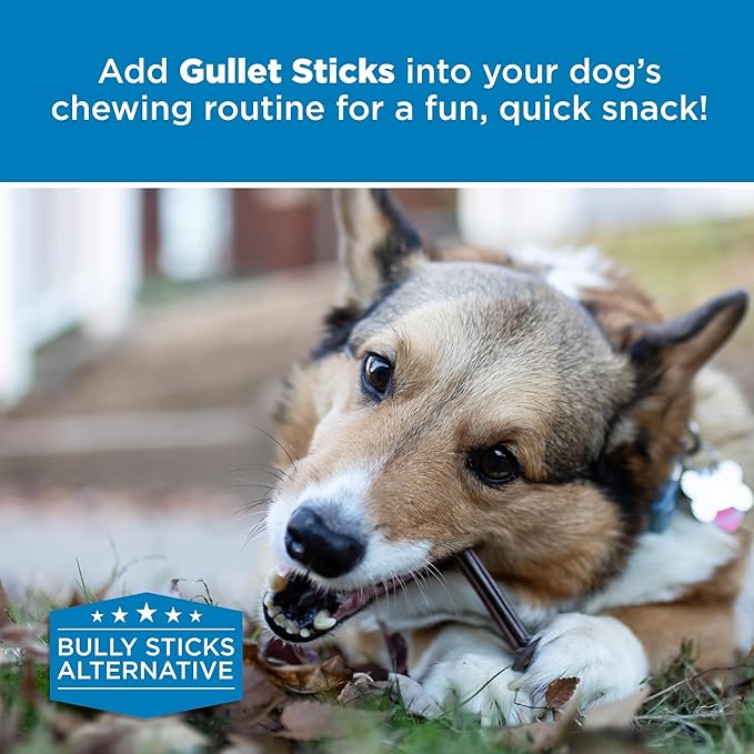 Best Bully Sticks 6 Inch Gullet Sticks - 25 Count (Pack of 1) - Natural, Thin, Hollow Esophagus Snack, Rawhide Alternative