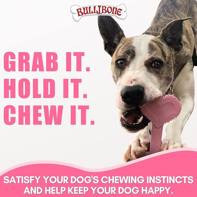 Bullibone Nylon Dog Chew Toy Nylon Bone - Improves Dental Hygiene, Easy to Grip Bottom, and Permeated with Flavor (Peppermint, Small - 2 Pack)