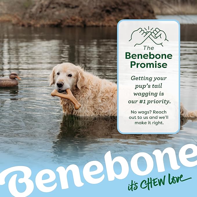 Benebone Wishbone Durable Dog Chew Toy for Aggressive Chewers, Duck, Made in USA, Medium
