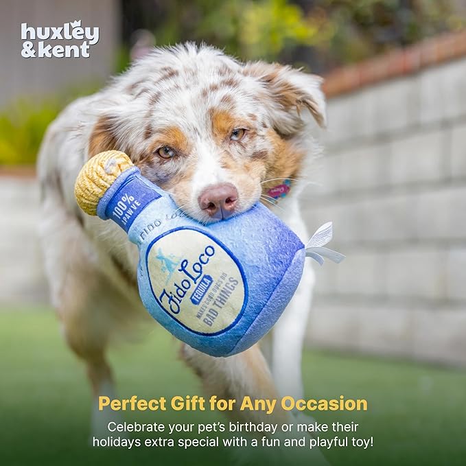 Huxley & Kent Funny Dog Toy w/Squeaker – Power Plush Squeaky Dog Toys for Small, Medium & Large Dogs – Soft Stuffed Animal for Indoor Play & Fetch - Fido Loco, Small