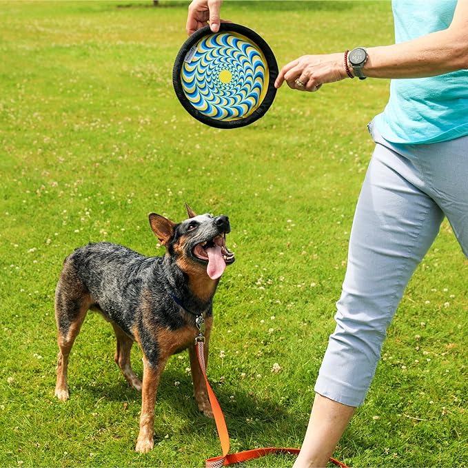 ZooBee Flying Disc Dog Toy – Dog Vision Friendly Colors – Soft & Durable Frisbee for Outdoor Play, Water Fetch & Pool Fun – Safe on Teeth – Floating Dog Toy – Lightweight & Easy to Throw
