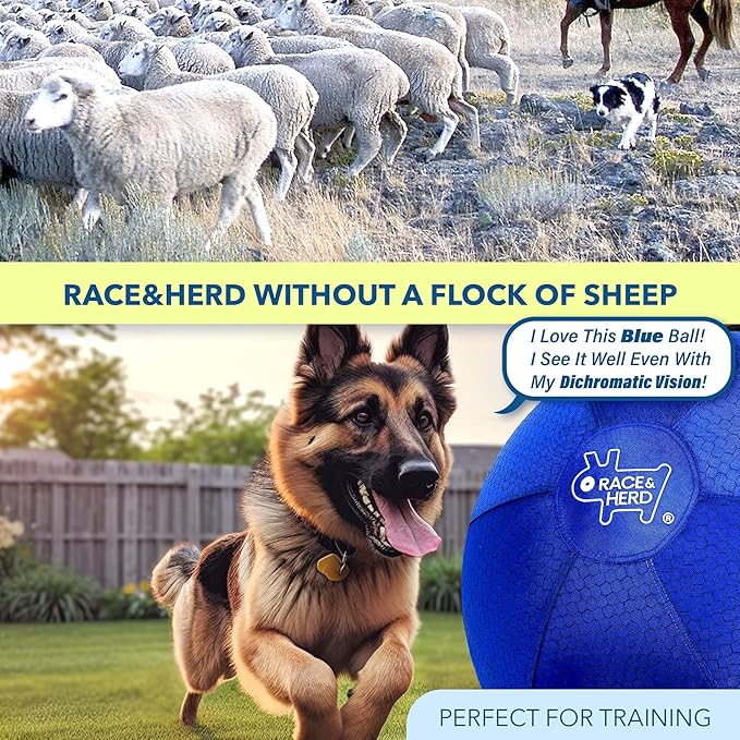 Race&Herd 30" Original XXL Herding Ball for Dogs - Giant Herding Dog Ball Australian Shepherds, Herding Toys, Dog Training Toy for Large Breeds, Dog Toy for Outdoor Play (Large Dogs/Horses, Yellow)