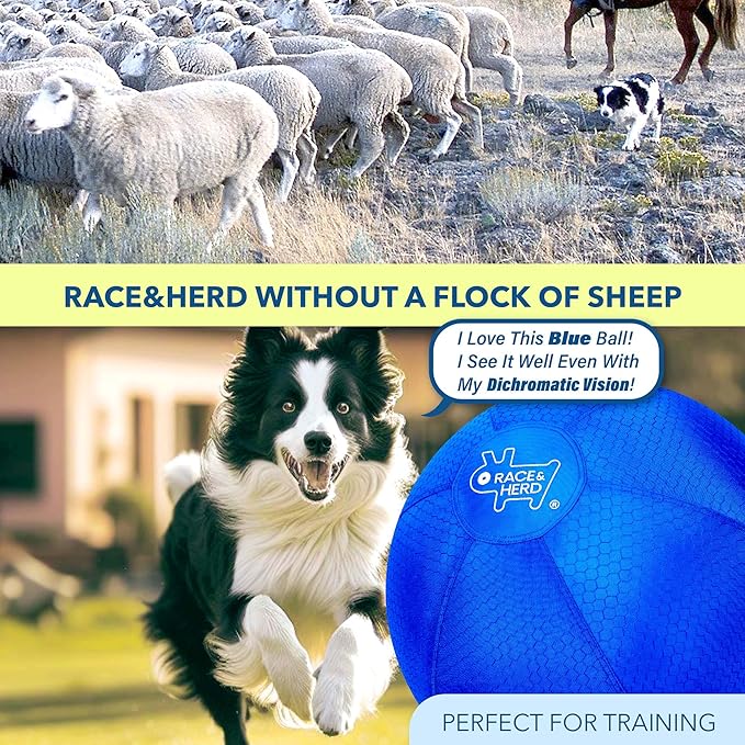 Race&Herd 25" Original XXL Herding Ball for Dogs - Giant Herding Dog Ball Australian Shepherds, Herding Toys, Dog Training Toy for Medium Breeds, Dog Toy for Outdoor Play (for Medium Dogs, Blue)
