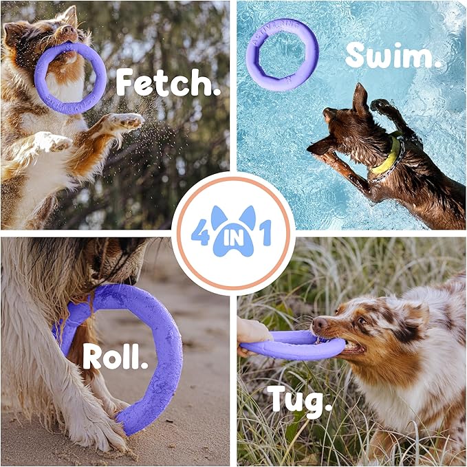 Set of 2 Active Dog Toy Rings - Floating Dog Rings for Outdoor Play, Training & Fetch - Durable Fetch Toy, Frisbee Alt, Outside Yard Toys for Large Breeds - Purple