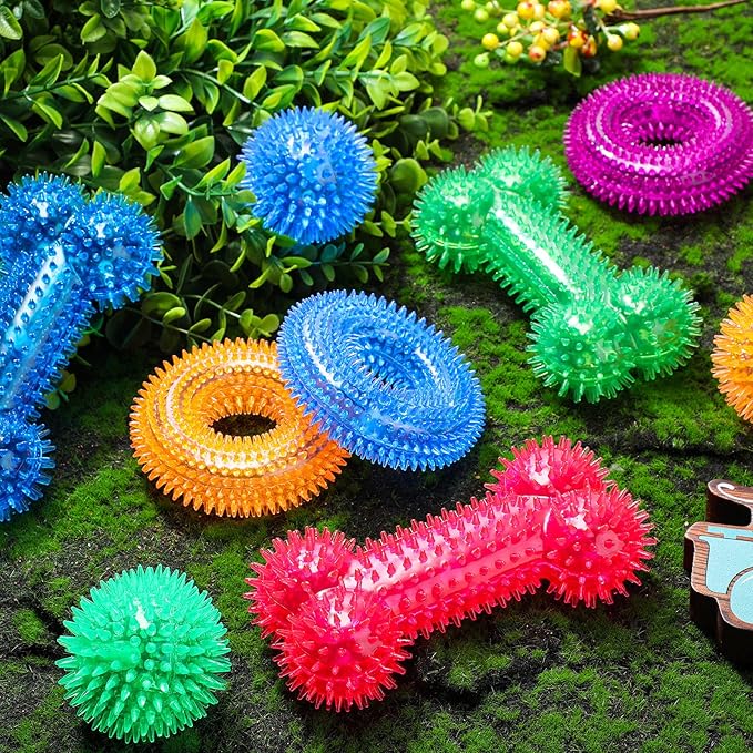 9 Pcs Dog Squeaky Toys Set, Dog Squeaky Balls Bone Shape Teething Toys Donut Shape Balls for Small Puppy Medium TPR Rubber Pet Chew for Training Fetching Teething