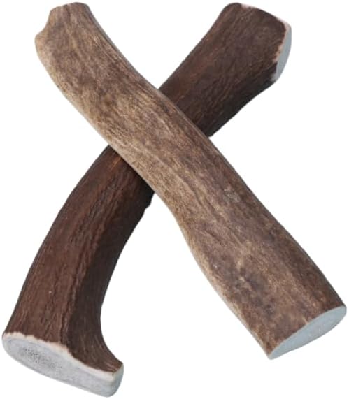 Good Trouble Premium Elk Antlers for Medium Dogs – 2 Pack Whole - All-Natural, Shed Antler Chews for Dental Health & Calming - Durable Dog Bones - Cruelty-Free, North American Sourced